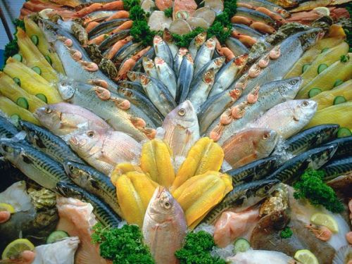 How To Find Fresh Fish - Suggestions On The Best Methods